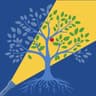 Torch Light Consulting
